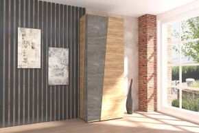 Аллегро-10 Шкаф двухдверный Диал в Мегионе - megion.mebel-tymen.ru | фото