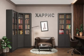 Библиотека Харрис в Мегионе - megion.mebel-tymen.ru | фото