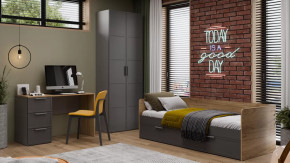 Детская «Стелла» Серый вулкан, Фон Серый, Яблоня Беллуно в Мегионе - megion.mebel-tymen.ru | фото