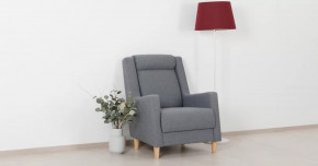 Дилан Кресло для отдыха арт. ТК 423 в Мегионе - megion.mebel-tymen.ru | фото