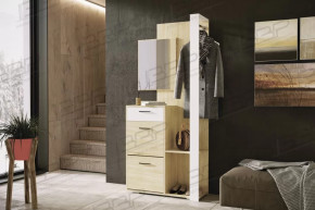 Гарнитур для прихожей Росс (дуб крафт золотойбелый шагрень) в Мегионе - megion.mebel-tymen.ru | фото