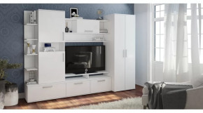 Гостиная Денвер в Мегионе - megion.mebel-tymen.ru | фото