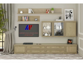 Гостиная Карина набор 10 в Мегионе - megion.mebel-tymen.ru | фото