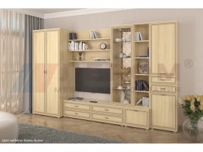 Гостиная Карина набор 11 в Мегионе - megion.mebel-tymen.ru | фото