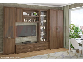 Гостиная Карина набор 16 в Мегионе - megion.mebel-tymen.ru | фото