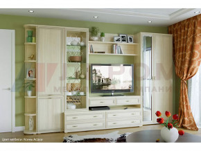 Гостиная Карина набор 20 в Мегионе - megion.mebel-tymen.ru | фото