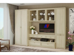 Гостиная Карина набор 23 в Мегионе - megion.mebel-tymen.ru | фото