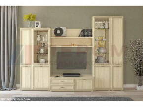 Гостиная Карина набор 24 в Мегионе - megion.mebel-tymen.ru | фото