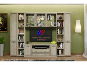 Гостиная Карина набор 25 в Мегионе - megion.mebel-tymen.ru | фото