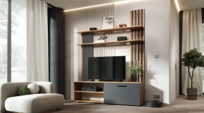 Гостиная Каролина Дуб Вотан/Графит в Мегионе - megion.mebel-tymen.ru | фото