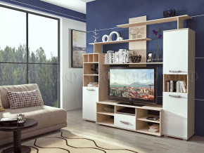 Гостиная Мини-2 в Мегионе - megion.mebel-tymen.ru | фото