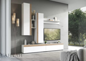 Гостиная НАО-Моно №1 в Мегионе - megion.mebel-tymen.ru | фото