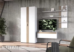 Гостиная НАО-Моно №10 в Мегионе - megion.mebel-tymen.ru | фото