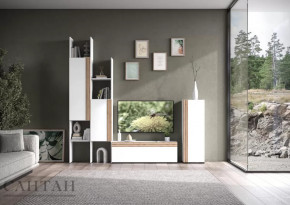 Гостиная НАО-Моно №3 в Мегионе - megion.mebel-tymen.ru | фото