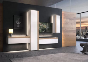 Гостиная НАО-Моно №7 в Мегионе - megion.mebel-tymen.ru | фото