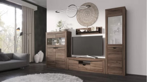 Гостиная Серия Регина дуб самдал в Мегионе - megion.mebel-tymen.ru | фото