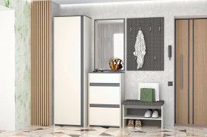 Иннэс-12  Прихожая №1 Диал в Мегионе - megion.mebel-tymen.ru | фото