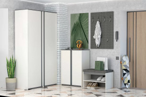 Иннэс-12 Прихожая №2 Диал в Мегионе - megion.mebel-tymen.ru | фото