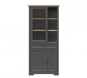 JASMIN шкаф REG1W2D1S (Графит/ Дуб артизан) в Мегионе - megion.mebel-tymen.ru | фото