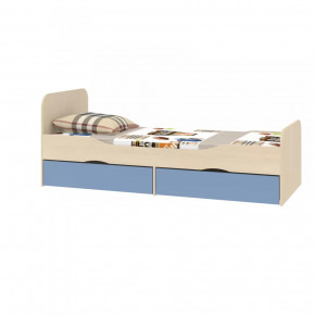 Кровать подростковая Дельта-19 в Мегионе - megion.mebel-tymen.ru | фото