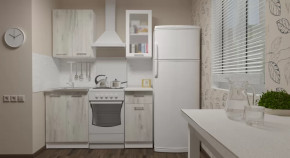 Кухонный гарнитур Алина мини 1000 мм в Мегионе - megion.mebel-tymen.ru | фото