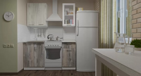 Кухонный гарнитур Инна мини 1000 мм в Мегионе - megion.mebel-tymen.ru | фото