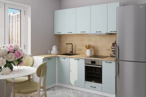 Кухонный гарнитур Лиора прайм 400 1100х2000 мм в Мегионе - megion.mebel-tymen.ru | фото