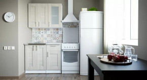 Кухонный гарнитур Лира мини 1000 мм в Мегионе - megion.mebel-tymen.ru | фото