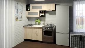 Кухонный гарнитур Симона экстра 1700 мм в Мегионе - megion.mebel-tymen.ru | фото