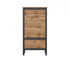 LOFT шкаф REG1D1S/60 (Дуб вотан/Черный) в Мегионе - megion.mebel-tymen.ru | фото