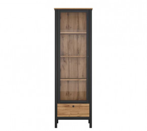 LOFT шкаф REG1W1S (Дуб вотан/Черный) в Мегионе - megion.mebel-tymen.ru | фото