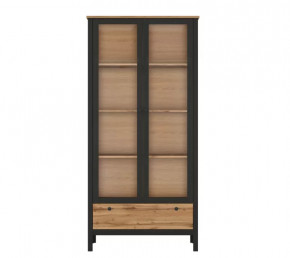 LOFT шкаф REG2W1S (Дуб вотан/Черный) в Мегионе - megion.mebel-tymen.ru | фото