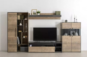 Модульная гостиная Трувор в Мегионе - megion.mebel-tymen.ru | фото