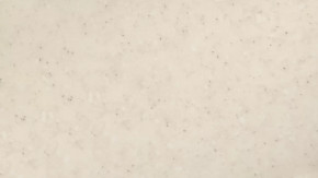 Панель пристенная 6х600х720 в Мегионе - megion.mebel-tymen.ru | фото