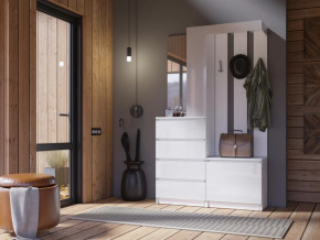 Прихожая Челси белый в Мегионе - megion.mebel-tymen.ru | фото