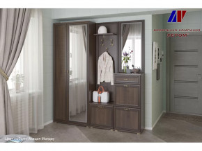 Прихожая Карина набор 1 в Мегионе - megion.mebel-tymen.ru | фото