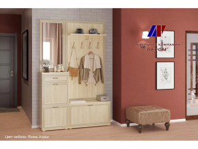 Прихожая Карина набор 2 в Мегионе - megion.mebel-tymen.ru | фото