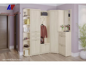 Прихожая Карина набор 5 в Мегионе - megion.mebel-tymen.ru | фото