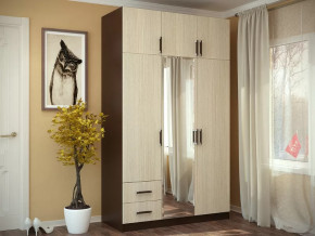 Шкаф 3-х створчатый с перегородкой венге/лоредо БТС в Мегионе - megion.mebel-tymen.ru | фото