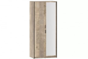 Шкаф для одежды с зеркалом Фолк НМ 014.03 в Мегионе - megion.mebel-tymen.ru | фото
