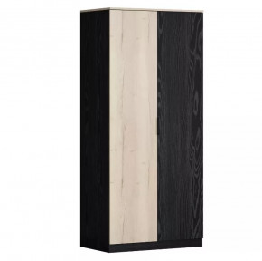 Шкаф двухстворчатый для одежды Дельта Лофт 13.02 в Мегионе - megion.mebel-tymen.ru | фото