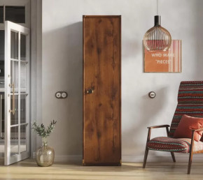 Шкаф JREG 1d Дуб саттер ИНДИАНА в Мегионе - megion.mebel-tymen.ru | фото