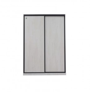 Шкаф-купе 1600 без зеркала Винтер - 6.16 в Мегионе - megion.mebel-tymen.ru | фото