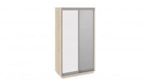 Шкаф-купе 2-х дверный «Румер» в Мегионе - megion.mebel-tymen.ru | фото