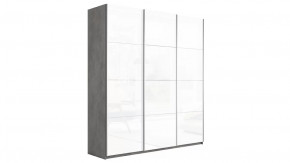 Шкаф-купе 3-х дверный «Траст» в Мегионе - megion.mebel-tymen.ru | фото