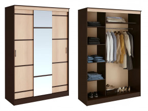 Шкаф-купе Сакура в Мегионе - megion.mebel-tymen.ru | фото