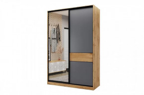 Шкаф-купе SLIM двухдверный BS15-6.ZD в Мегионе - megion.mebel-tymen.ru | фото