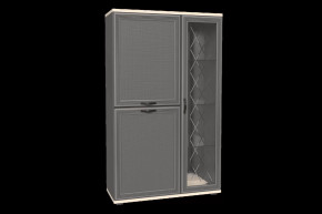 Шкаф многоцелевой ШК-1082 Карина в Мегионе - megion.mebel-tymen.ru | фото