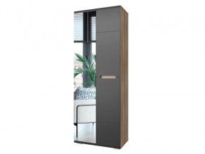 Шкаф Наоми ШК-22 графит нубук в Мегионе - megion.mebel-tymen.ru | фото