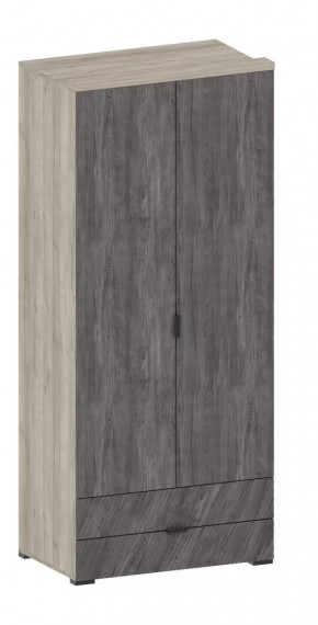 Шкаф Шаде ШК-2905 в Мегионе - megion.mebel-tymen.ru | фото